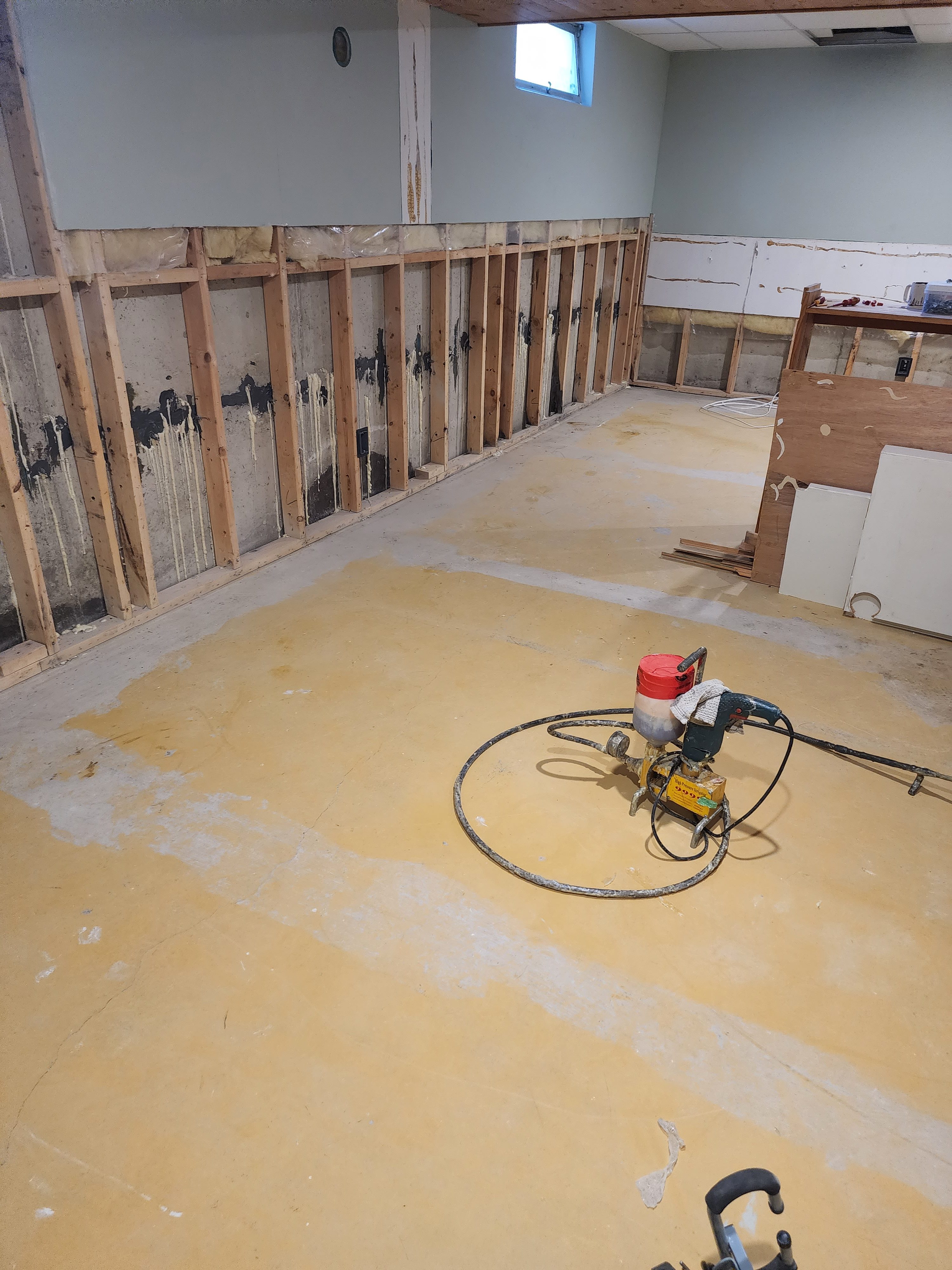 Foundation repair specialist inspecting Edmonton home basement